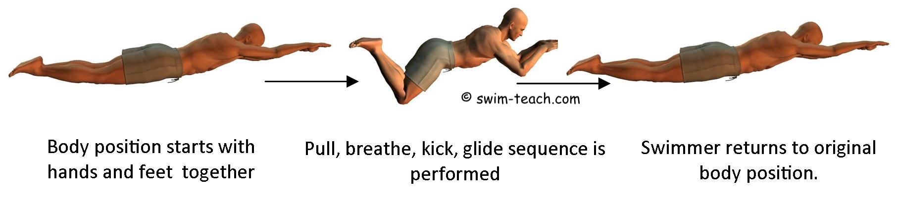 Improve Your Breaststroke Swimming Technique Today 4411