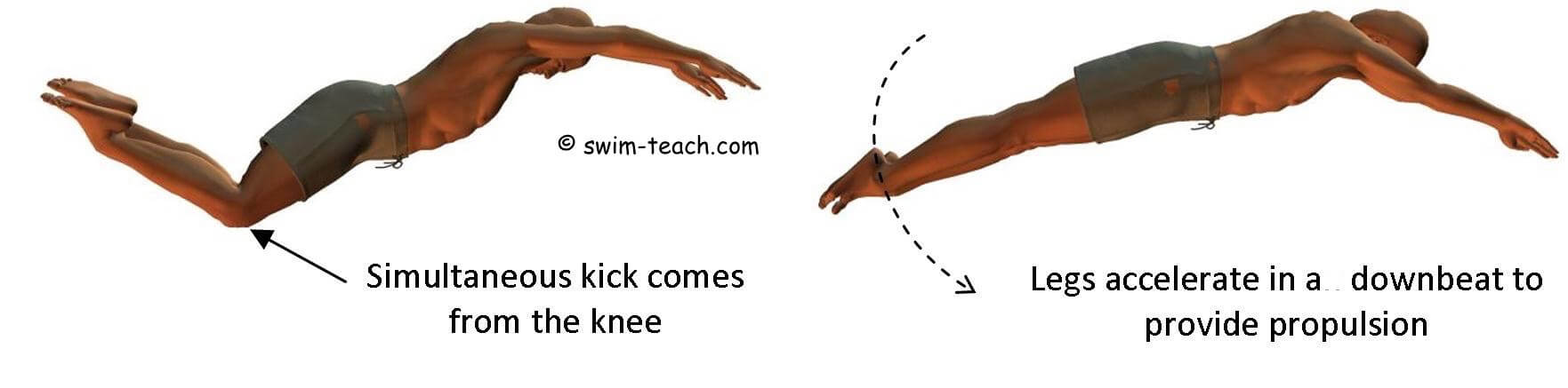 how-to-kick-in-the-butterfly-stroke-swimming-lessons-youtube